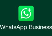 WhatsApp Business पर अब देने होंगे पैसे, जानें 1 अक्टूबर से क्या बदलेगा