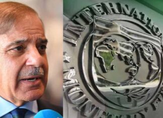 $7 अरब के लोन पर IMF की सख्ती, पाकिस्तान को करने होंगे 174 बड़े बदलाव