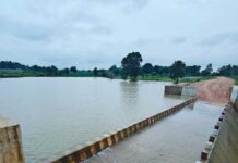 खरीफ की 30 और रबी की 15 हेक्टेयर फसल को मिल रहा सिंचाई का पानी, वर्तमान में पूरी क्षमता से भरा बांध