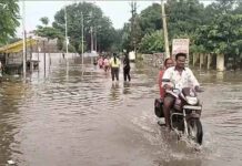 महानदी ने दिखाया रौद्र रूप, शबरी पुल डूबा; शिवरीनारायण का संपर्क हुआ बाधित