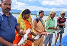 प्रधानमंत्री मत्स्य संपदा योजना से मल्हनिया जलाशय में बदली मछुआरों की जिंदगी
