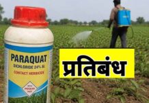 किसानों के लिए अहम खबर, पैराक्वेट डाइक्लोराइड के उपयोग पर प्रतिबंध; स्वास्थ्य और पशुओं की सुरक्षा को लेकर कदम