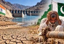 भारत पर आरोप लगाने वाले पाकिस्तान के सामने नई चुनौती, रबी फसलों के लिए 22% पानी की कमी की आशंका