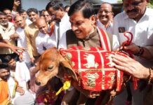 भोपाल में आदर्श गौशाला को लेकर CM डॉ. यादव सख्त, जल्द कार्य पूरा करने के निर्देश