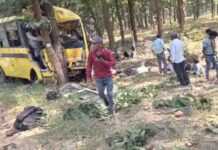 मनेंद्रगढ़ में भीषण बस हादसा, पेड़ से टकराई तेज रफ्तार बस; 6 की मौत, 15 की हालत गंभीर