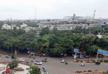 रानी सराय परिसर में पेड़ कटाई का रास्ता साफ, इंदौर में हजारों परिंदों के आशियाने पर संकट