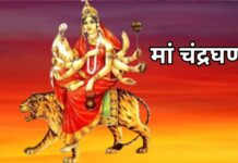 Navratri 2026: मां चंद्रघंटा को प्रसन्न करने के लिए करें पूजा, जानें बीज मंत्र, स्तोत्र और पूजन विधि