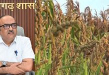 मोटे अनाज की खरीदी पर सरकार का फोकस, मुख्य सचिव ने कोदो-कुटकी, रागी और मक्का के उपार्जन पर की चर्चा