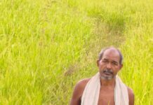 कृषक उन्नति योजना से शंकर प्रसाद की खेती को मिलेगा आर्थिक संबल, तीन एकड़ में सुगंधित धान की खेती पर मिलेंगे 45 हजार रुपये