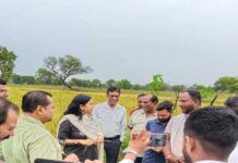 छत्तीसगढ़ में काले चावल की खेती से चमकेगी किसानों की किस्मत, 35 हजार रुपये क्विंटल तक है कीमत