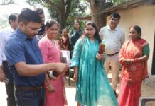 स्वरोजगार से आत्मनिर्भरता की राह पर ग्रामीण महिलाएं कलेक्टर ने पूजा महिला स्व-सहायता समूह की आजीविका गतिविधियों का लिया जायजा