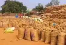 15 नवम्बर से शुरू होगी धान खरीदी, 27.50 लाख से अधिक किसानों से ₹3100 प्रति क्विंटल की दर से खरीदा जाएगा धान