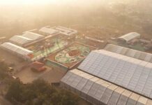 बस्तर के लालबाग में वनोपज से सजी 20,700 वर्गफीट की भव्य रंगोली ने रचा विश्व रिकॉर्ड, राष्ट्रपति द्रौपदी मुर्मु ने किया अवलोकन