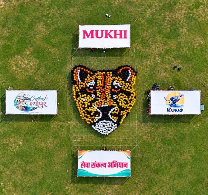 rangoli.jpg