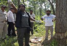 3500 पेड़ों को खत्म करने की कथित साजिश का खुलासा, छत्तीसगढ़ के उदंती में पेड़ों के इलाज के लिए पहुंचे विशेषज्ञ